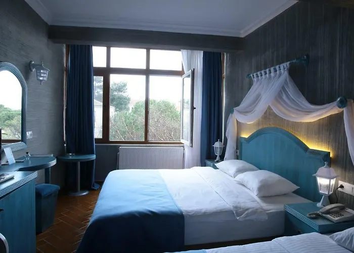 Etap Altinel Cam 2* Ayvalı