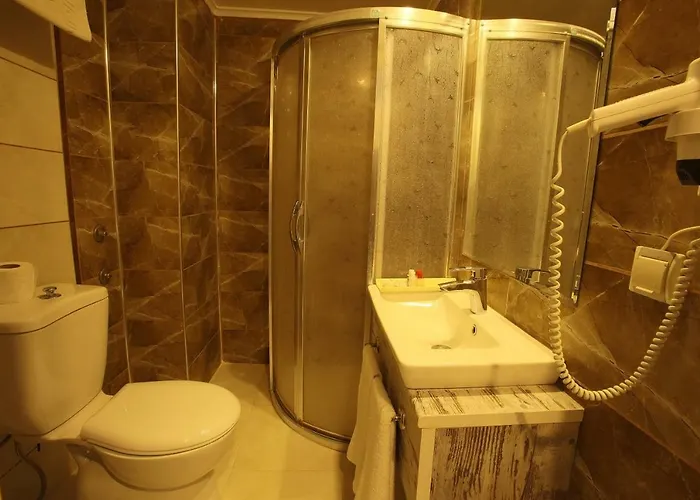 Hotel Etap Altinel Cam Ayvalı